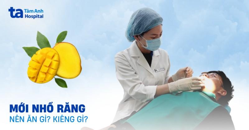 Hình ảnh minh họa các phương pháp chăm sóc răng miệng bổ sung cho chó: xương gặm nha khoa, đồ chơi nha khoa, nước súc miệng cho chó